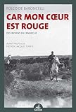 Car Mon Coeur Est Rouge : Des Indiens En Camargue