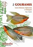 Les Gouramis