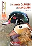 Les Canards Carolin Et Mandarin