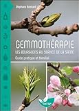 Gemmothrapie Les Bourgeons Au Service De La Sant Guide Pratique Et Familial