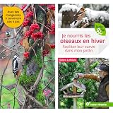 Je Nourris Les Oiseaux En Hiver Faciliter Leur Survie Dans Mon Jardin