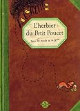 L'herbier Du Petit Poucet : Tous Les Secrets De La For%C3%AAt