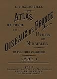 Atlas De Poche Des Oiseaux De France Suisse Et Belgique Utiles Et Nuisibles I