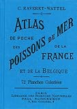 Atlas De Poche Des Poissons De Mer De La France Et De La Belgique