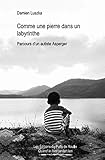 Comme Une Pierre Dans Un Labyrinthe : Parcours D'un Autiste Asperger