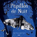 Papillon de nuit