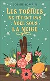 Les tortues ne fêtent pas Noël sous la neige.