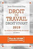 Droit Du Travail, Droit Vivant 2019: La Relation Individuelle De Travail