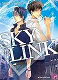 Sky Link