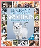 Le Grand Calendrier Des 365 Chats