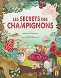 Les secrets des champignons