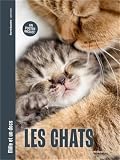 Les chats