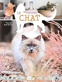 Le chat