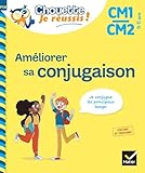 Mini Chouette   Am%C3%A9liorer Sa Conjugaison Cm1