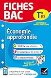 Fiches Bac %C3%A9conomie Approfondie Tle Es: Fiches De R%C3%A9vision Terminale Es