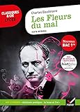 Les Fleurs Du Mal (bac 2020): Suivi Du Parcours %C2%AB Alchimie Po%C3%A9tique : La Boue Et L'or %C2%BB