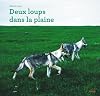 Deux loups dans la plaine