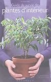 Guide De Survie Des Plantes Dintrieur