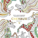 Le Petit Livre Du Coloriage : Chevaux