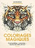 Coloriages Magiques