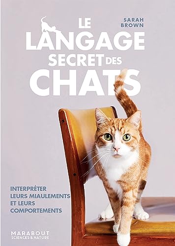 Le langage secret des chats - Interpr&eacute;ter Leurs miaulements 