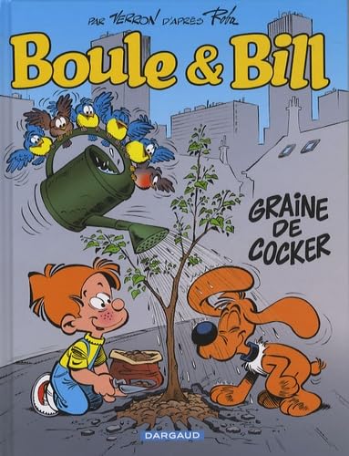 Graine de cocker