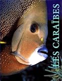 Les Carabes