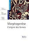Morphogenesis: Origins of Patterns and Shapes (Springer Complexity)
