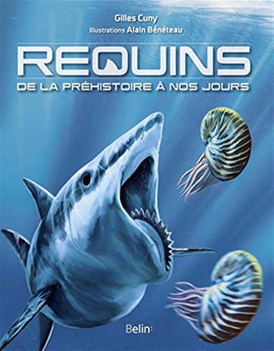 Requins — De la préhistoire à nos jours