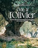 Ode à l'Olivier