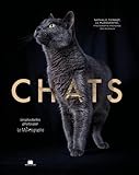 Chats