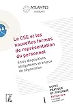Le Cse Et Les Nouvelles Formes De Repr%C3%A9sentation Du Personnel : Entre Dispositions Obligatoires Et Enjeux De N%C3%A9gociation
