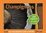 Coffret Champignons : Guide + Couteau %C3%A0 Champignons