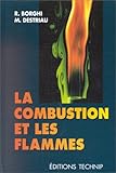 La Combustion Et Les Flammes