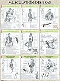 Musculation Des Bras : Poster