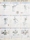Musculation Des %C3%A9paules : Poster