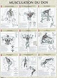 Musculation Du Dos : Poster