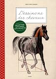 Dessinons Des Chevaux