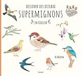 Dessiner Des Oiseaux Supermignons En Couleur