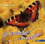 De La Chenille Au Papillon