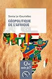 Géopolitique de l'Afrique