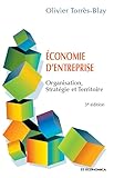 Conomie Dentreprise Organisation Stratgie Et Territoire
