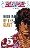 Bleach   Tome 05: Rightarm Of The Giant