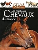 Les Plus Beaux Chevaux Du Monde