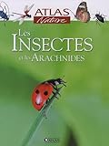 Les Insectes Et Les Arachnides
