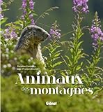 Animaux Des Montagnes