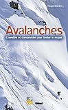 Avalanches : Conna%C3%AEtre Et Comprendre Pour Limiter Le Risque