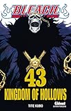 Bleach   Tome 43: Kingdom Of Hollows