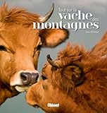 Tout Sur La Vache Des Montagnes