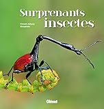 Surprenants Insectes